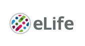 Cover of eLIFE, featuring study using the protocol.