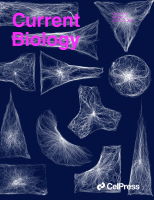 Cover of Current Biology, featuring study using the protocol.