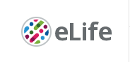 Cover of eLIFE, featuring study using the protocol.
