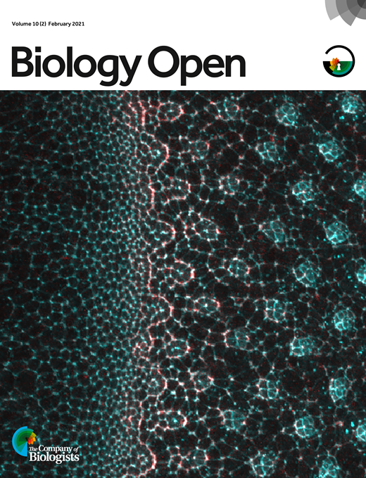 Cover of Biology Open, featuring study using the protocol.