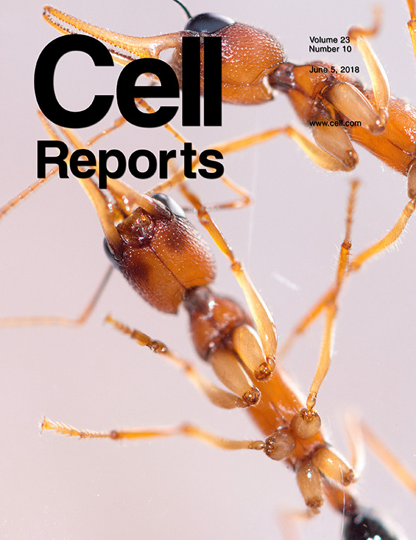 Cover of Cell Reports, featuring study using the protocol.