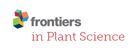 Cover of Frontiers in Plant Science, featuring study using the protocol.