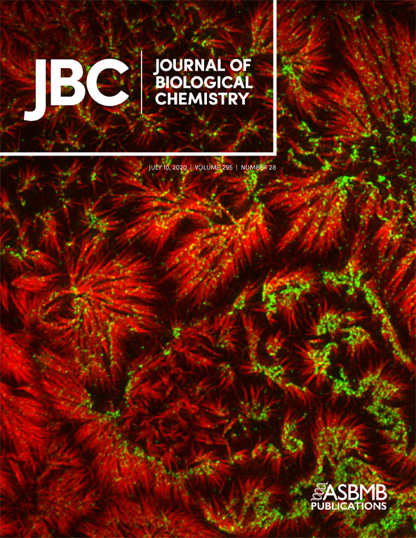 Cover of The Journal of Biological Chemistry, featuring study using the protocol.