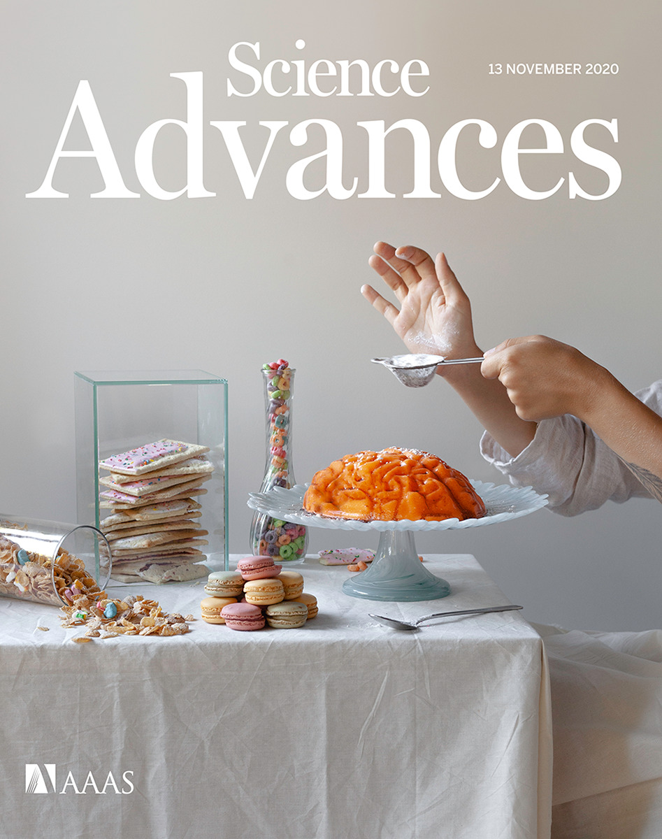 Cover of Science Advances, featuring study using the protocol.