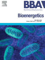 Cover of Biochimica et Biophysica Acta (BBA) - Bioenergetics, featuring study using the protocol.