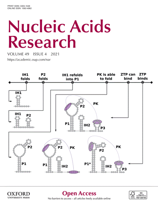Cover of Nucleic Acids Research, featuring study using the protocol.