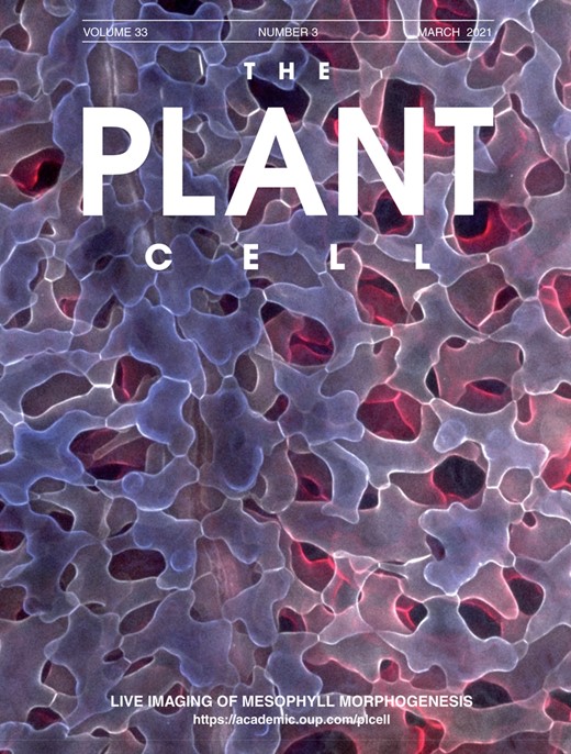 Cover of The Plant Cell, featuring study using the protocol.