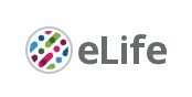 Cover of eLIFE, featuring study using the protocol.