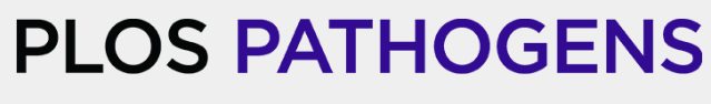Cover of PLOS Pathogens, featuring study using the protocol.