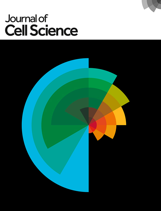 Cover of Journal of Cell Science, featuring study using the protocol.
