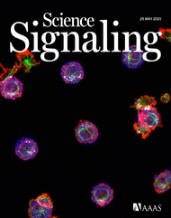 Cover of Science Signaling, featuring study using the protocol.