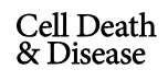 Cover of Cell Death & Disease, featuring study using the protocol.