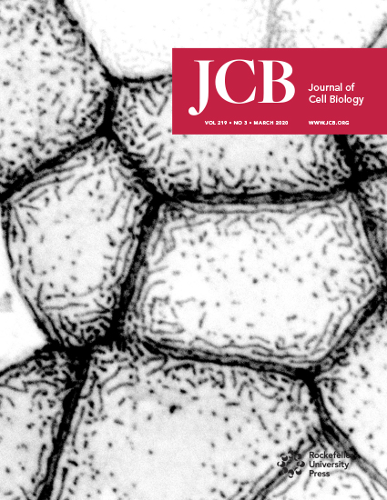 Cover of The Journal of Cell Biology, featuring study using the protocol.