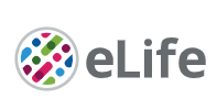 Cover of eLIFE, featuring study using the protocol.