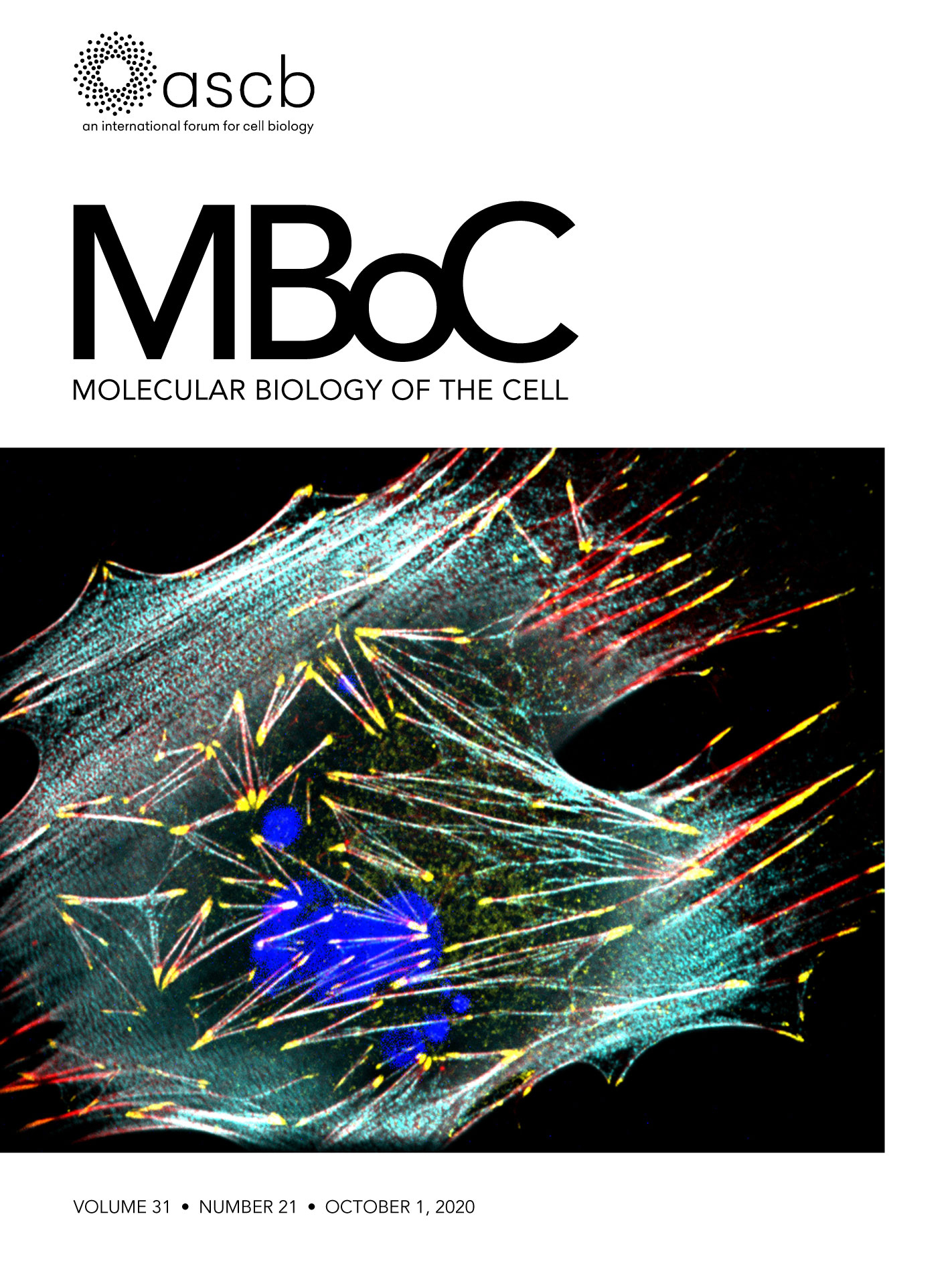 Cover of Molecular Biology of the Cell, featuring study using the protocol.
