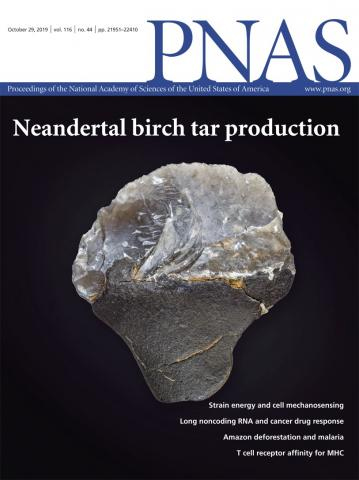 Cover of Proceedings of the National Academy of Sciences of the United States of America, featuring study using the protocol.