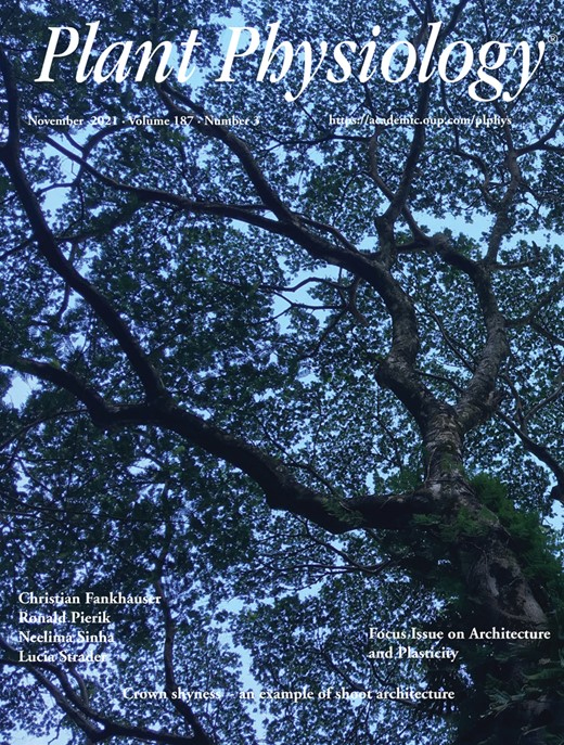 Cover of Plant Physiology, featuring study using the protocol.