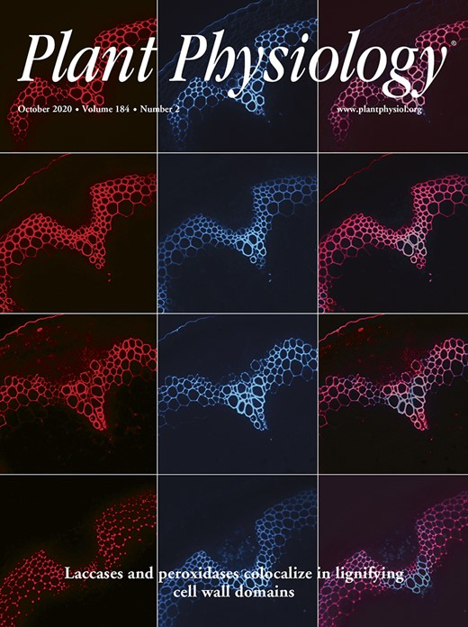 Cover of Plant Physiology, featuring study using the protocol.