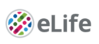 Cover of eLIFE, featuring study using the protocol.