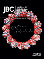 Cover of The Journal of Biological Chemistry, featuring study using the protocol.
