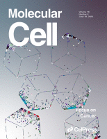 Cover of Molecular Cell, featuring study using the protocol.