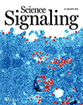 Cover of Science Signaling, featuring study using the protocol.
