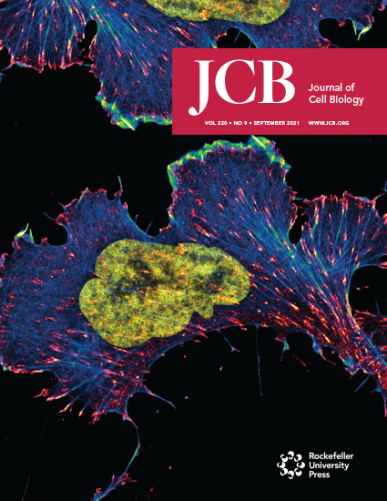 Cover of The Journal of Cell Biology, featuring study using the protocol.