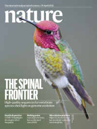 Cover of Nature, featuring study using the protocol.