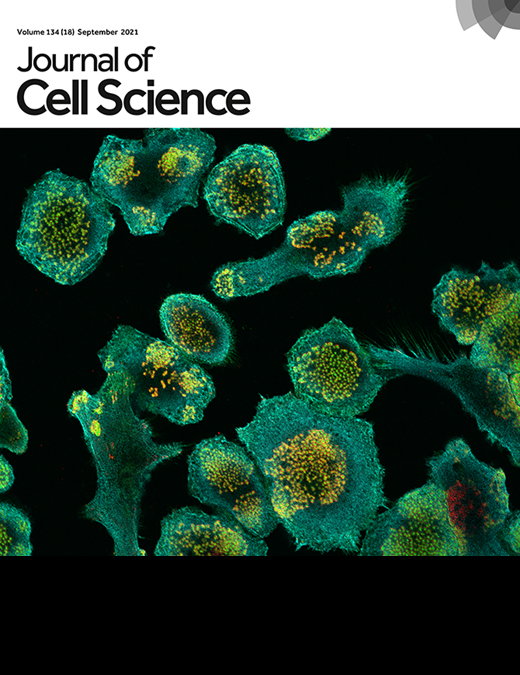 Cover of Journal of Cell Science, featuring study using the protocol.