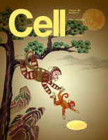 Cover of Cell, featuring study using the protocol.