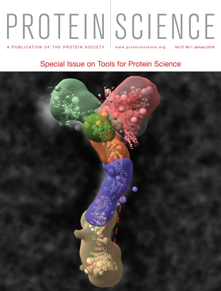 Cover of Protein Science, featuring study using the protocol.