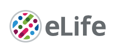 Cover of eLIFE, featuring study using the protocol.
