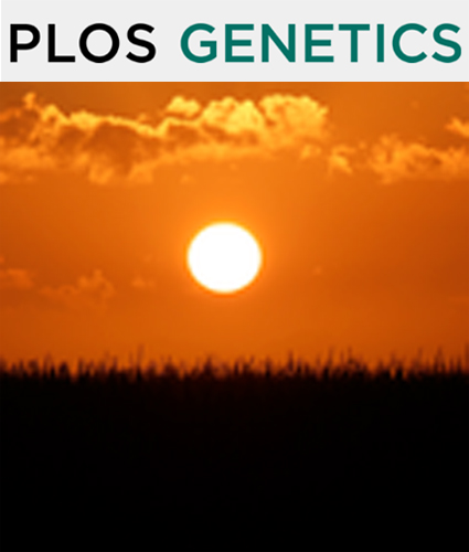 Cover of PLOS Genetics, featuring study using the protocol.