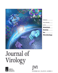 Cover of Journal of Virology, featuring study using the protocol.