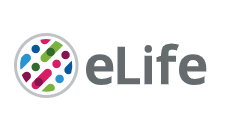 Cover of eLIFE, featuring study using the protocol.