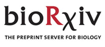 Cover of bioRxiv, featuring study using the protocol.
