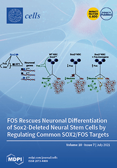 Cover of Cells, featuring study using the protocol.