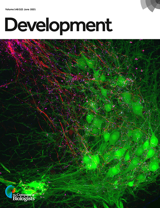 Cover of Development, featuring study using the protocol.