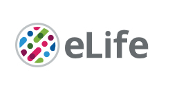 Cover of eLIFE, featuring study using the protocol.