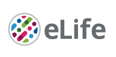 Cover of eLIFE, featuring study using the protocol.