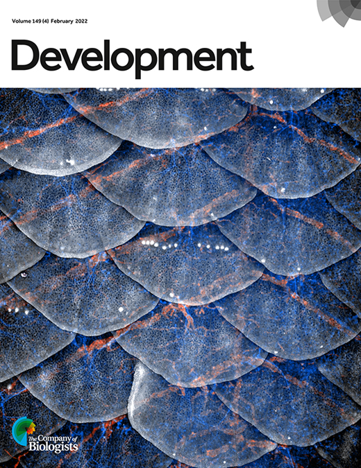 Cover of Development, featuring study using the protocol.