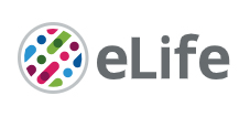 Cover of eLIFE, featuring study using the protocol.