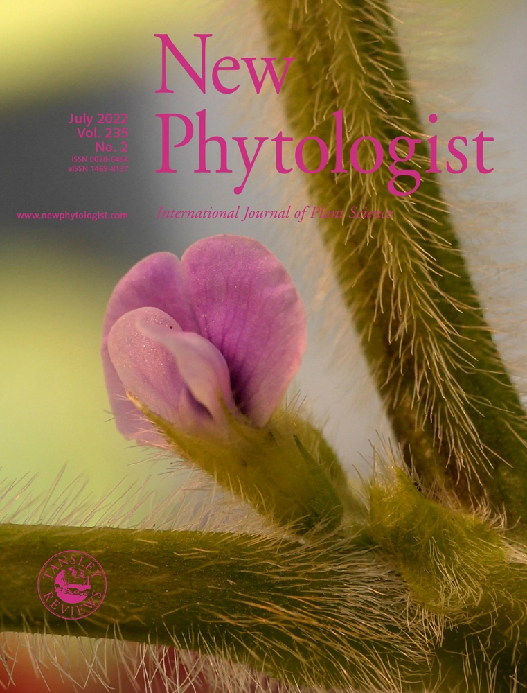 Cover of New Phytologist, featuring study using the protocol.