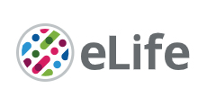 Cover of eLIFE, featuring study using the protocol.