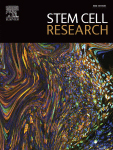 Cover of Stem Cell Research, featuring study using the protocol.