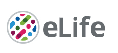 Cover of eLIFE, featuring study using the protocol.