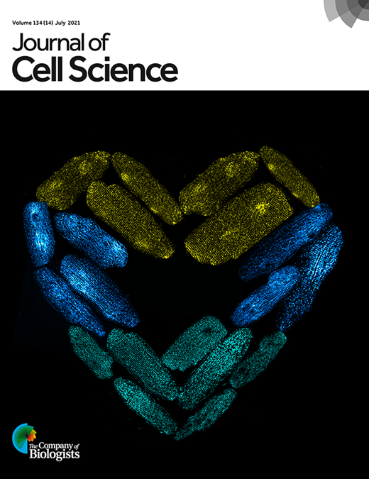 Cover of Journal of Cell Science, featuring study using the protocol.