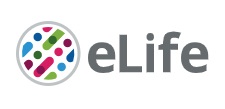 Cover of eLIFE, featuring study using the protocol.