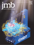 Cover of Journal of Molecular Biology, featuring study using the protocol.