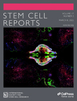 Cover of Stem Cell Reports, featuring study using the protocol.